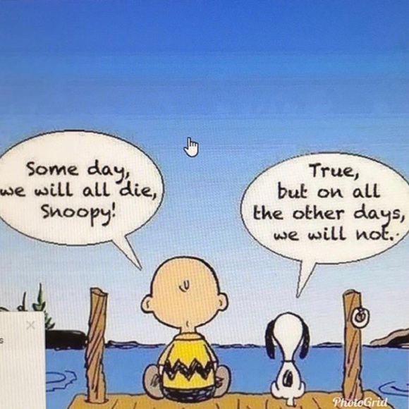 Meet your Posher, Tracy - Picture 5 of 9